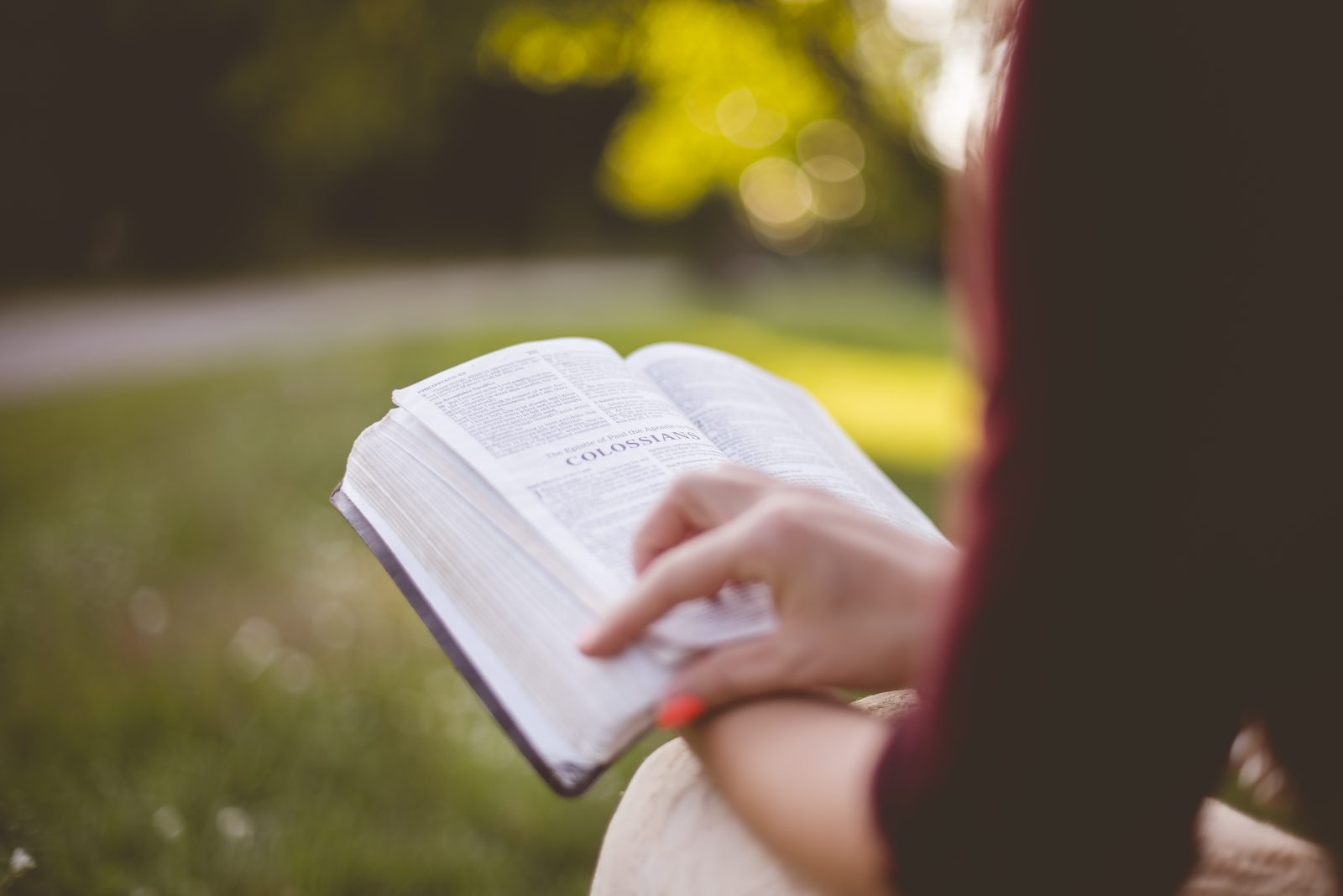 Woman Reading a Bible