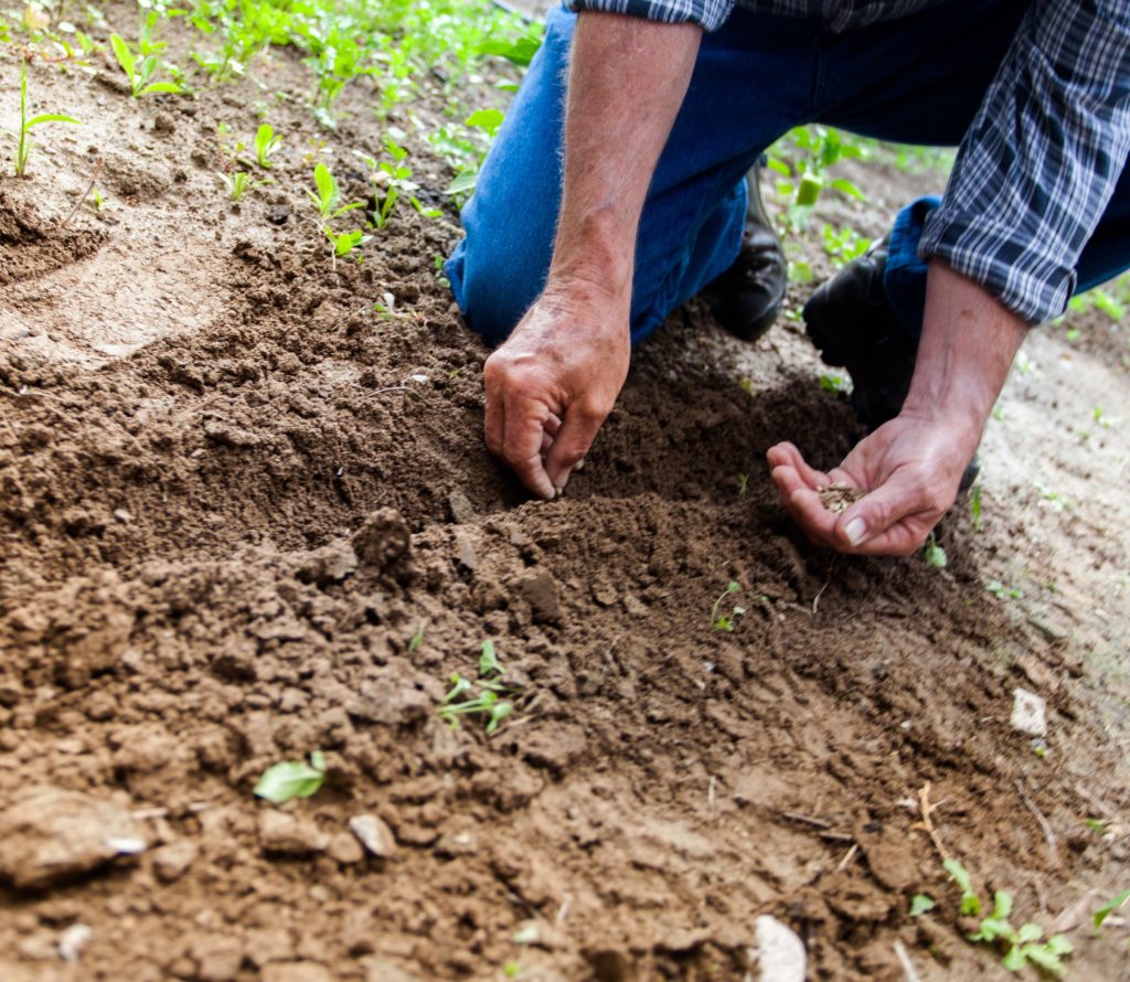 An OASIS Multi-Church Reflection: Soil & Fishermen