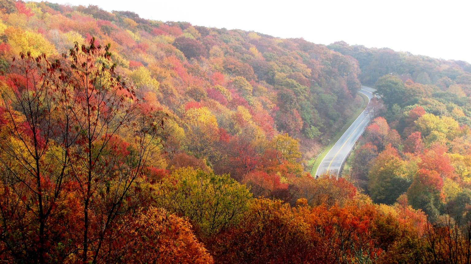 Fall is Upon Us