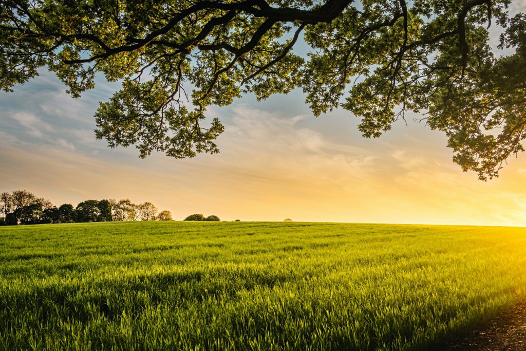 Spiritually Equipping Children and Youth During Difficult Times